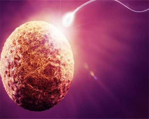 2026
代妈301医院生殖科做试管怎么建档？要填写什么？